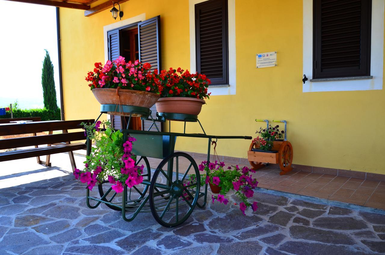 Agriturismo L'Impero Santa Luce Ngoại thất bức ảnh